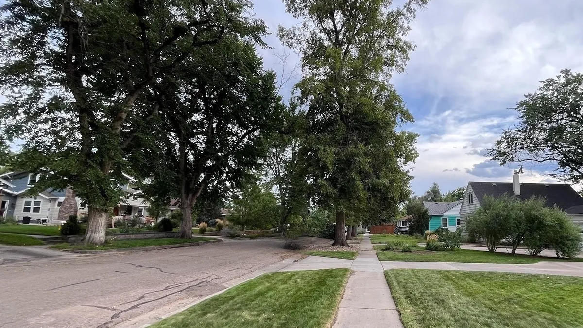 The streetview from a walk in Colorado Springs in the summer of 2024.